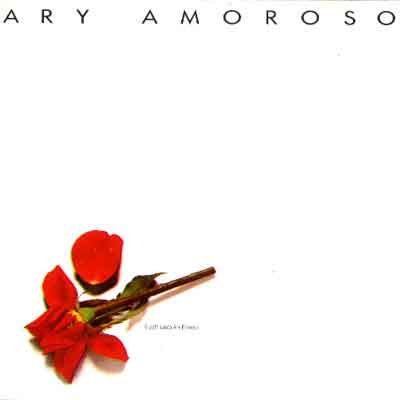 ARY AMOROSO