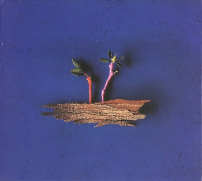 JOANA QUEIROZ SEXTETO - BOA NOITE PRA FALAR COM O MAR