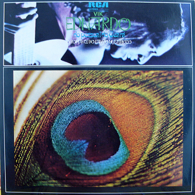 O ROMANCE DO PAVÃO MYSTERIOZO